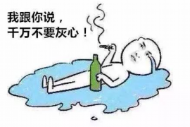 仪征贷款清欠服务